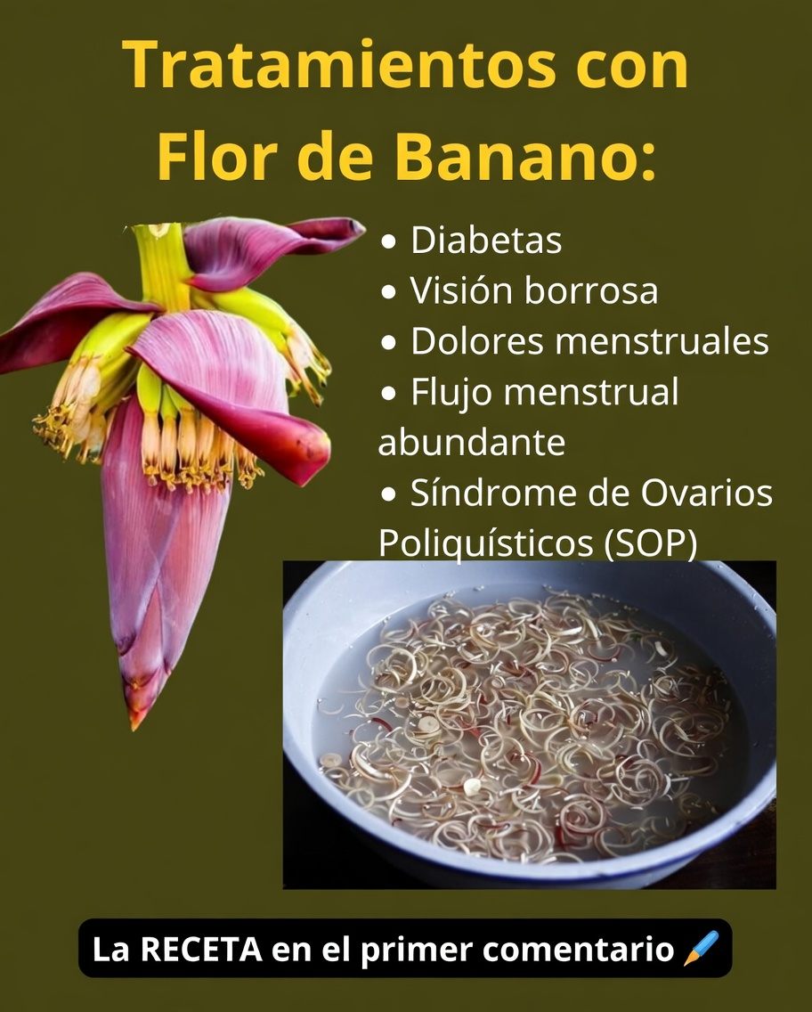 667792359 1588341019487844 5970226210026024874 n