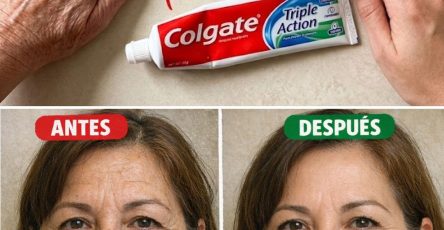 668710735 122162902406943773 9134647665367492453 n