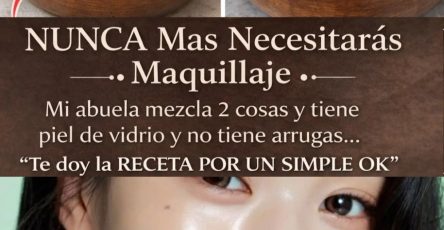 669109349 1591775799144366 4069449650510637802 n