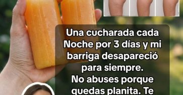 669569627 122162908484943773 5172629219586244971 n