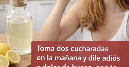 669742699 1588846959437250 7672125425789730346 n