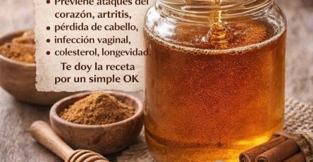 670489368 1590696655918947 4639385420610598015 n