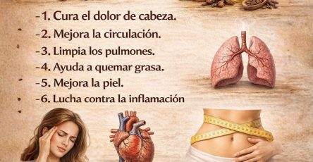 670882183 1592358515752761 4870483807137910827 n