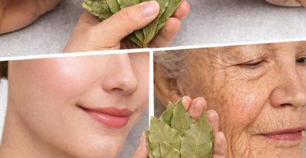 671522398 990726330005024 6283159831208609022 n