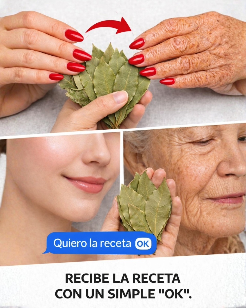 671522398 990726330005024 6283159831208609022 n