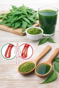 672032486 1592231375765475 6592502491470375468 n