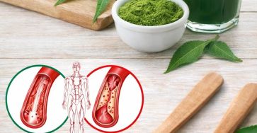 672032486 1592231375765475 6592502491470375468 n