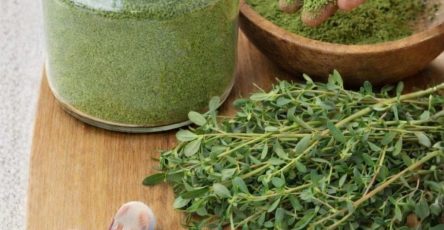 672593989 1593177962337483 7921506377402837653 n