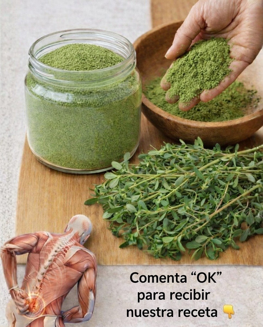 672593989 1593177962337483 7921506377402837653 n