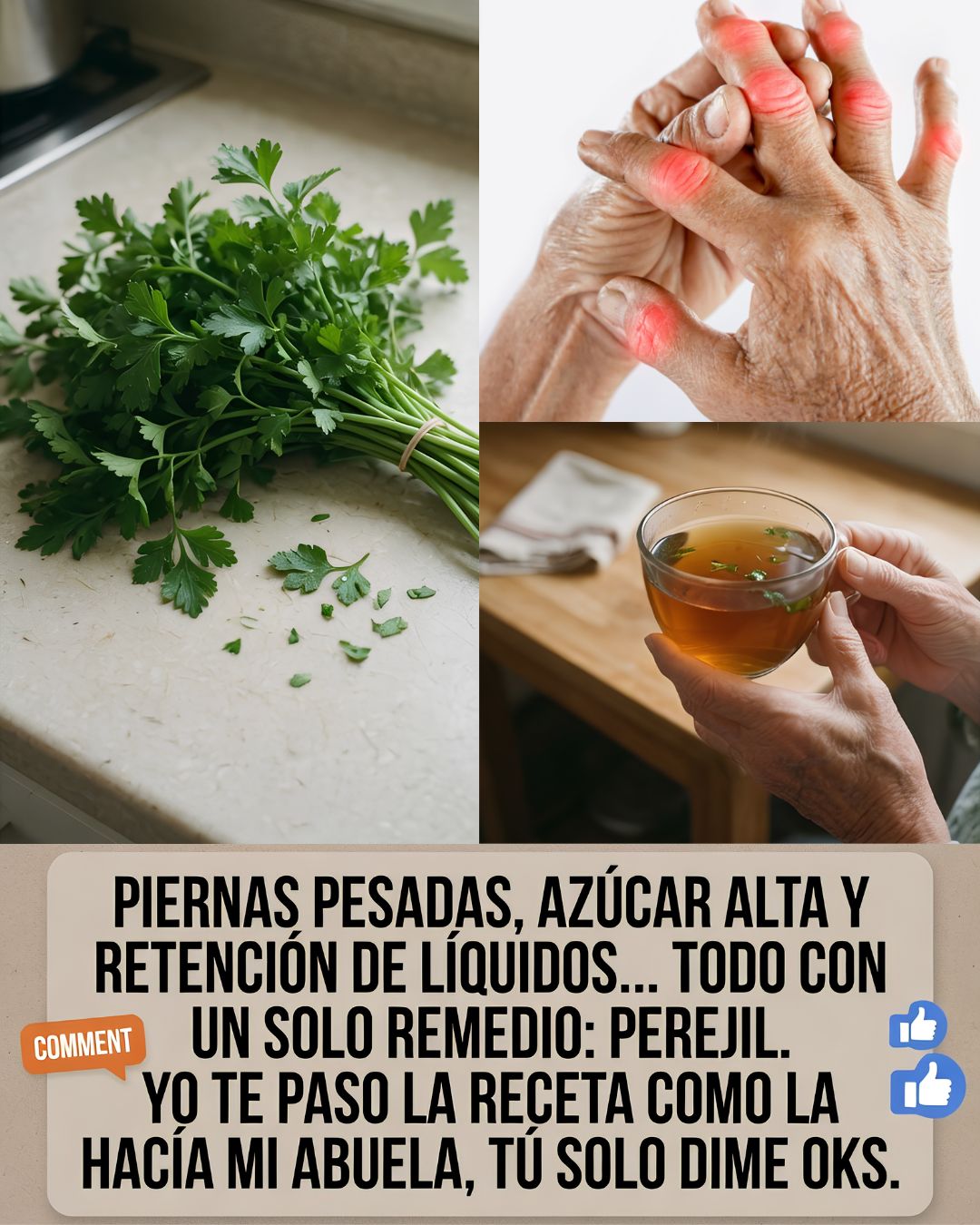 672689972 1416550386940764 4238306923801524320 n