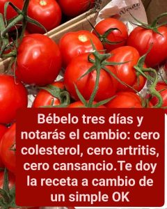 673880985 1416464783615991 7426033084504050279 n