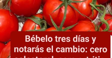 673880985 1416464783615991 7426033084504050279 n