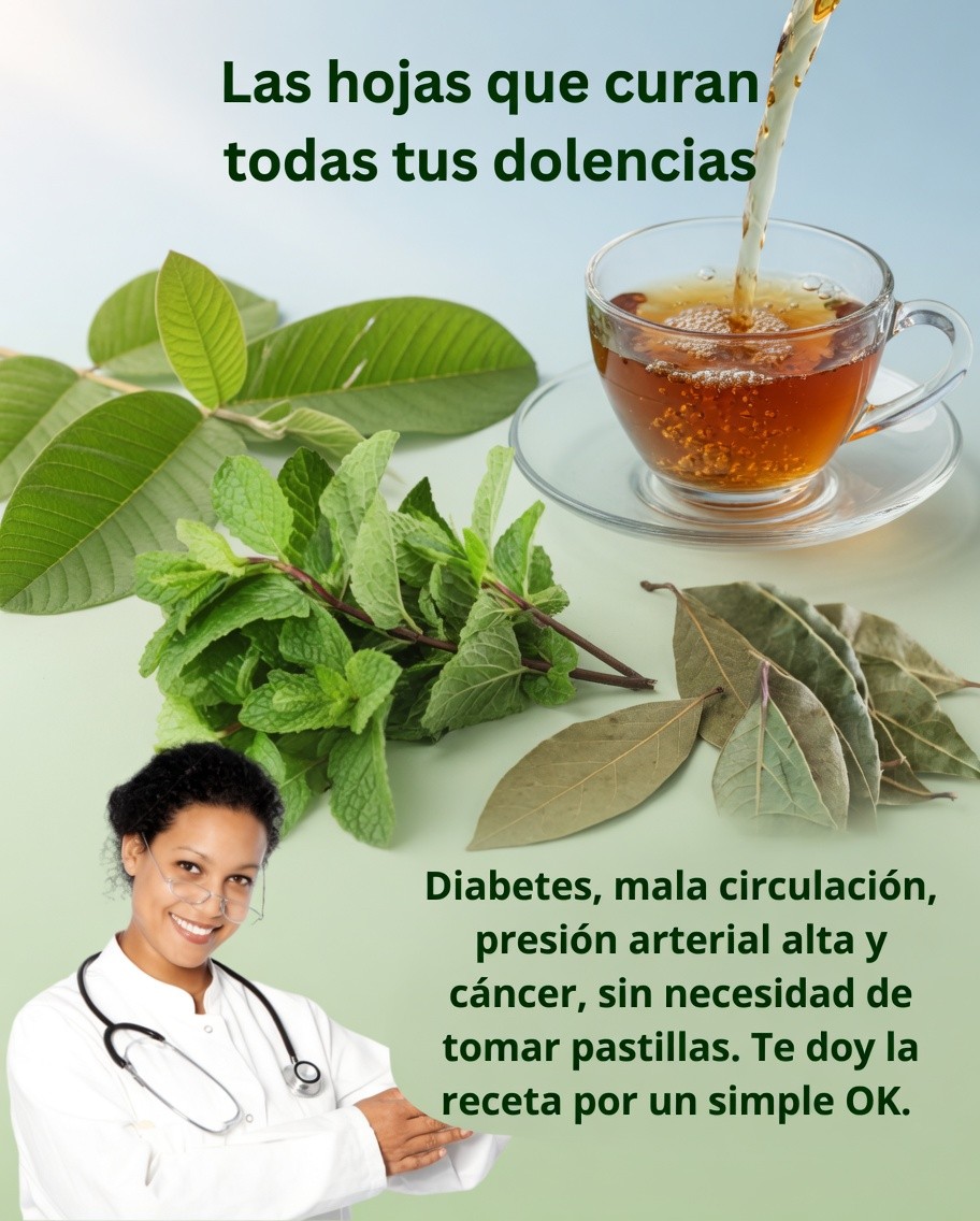 674046981 1596469842008295 8412480185039544355 n