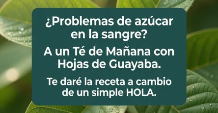 674335799 1598820675106545 7087327315692052832 n