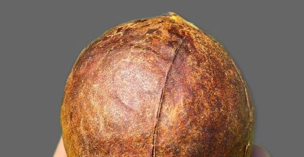 674335880 1417988300130306 2582080892069982562 n