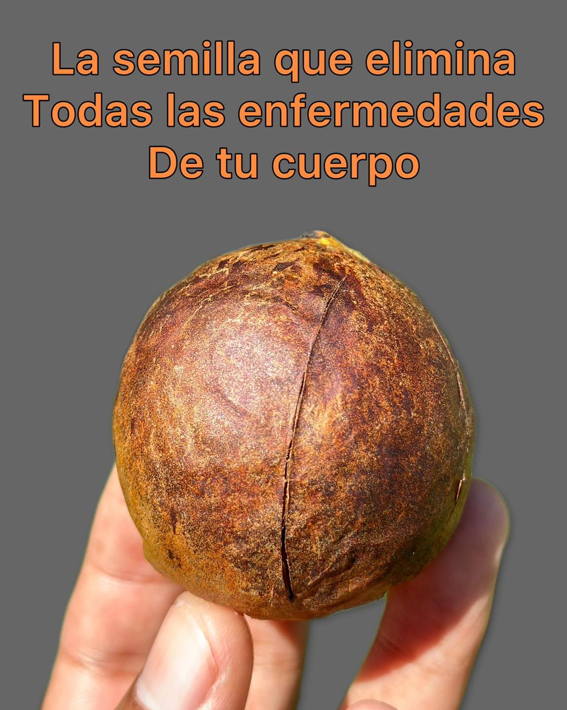 674335880 1417988300130306 2582080892069982562 n