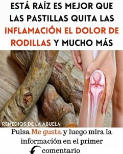 675125651 1417635890165547 9112177603409586789 n