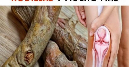 675125651 1417635890165547 9112177603409586789 n