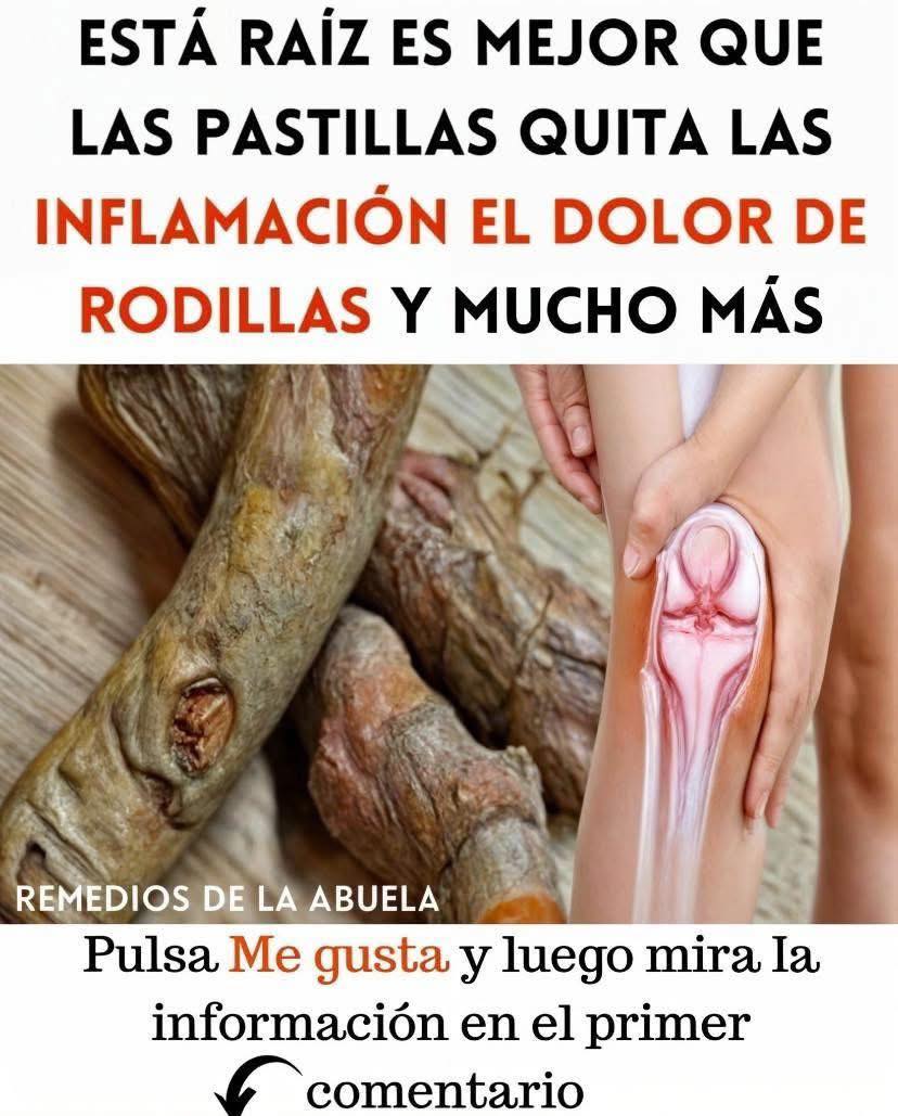 675125651 1417635890165547 9112177603409586789 n