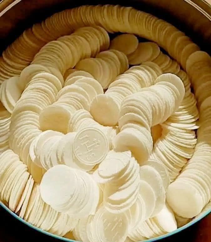 675190132 27308122675442405 3814438754886207041 n