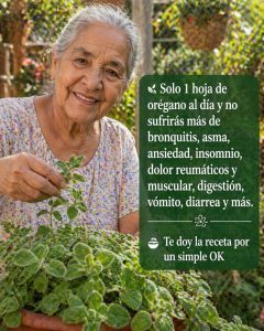 678340173 1421253016470501 2907815613067051300 n