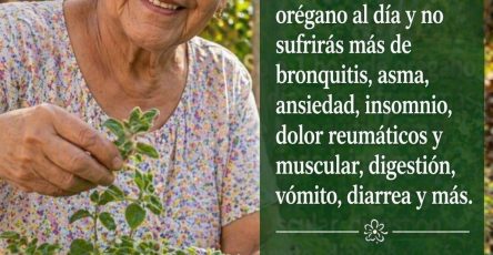 678340173 1421253016470501 2907815613067051300 n