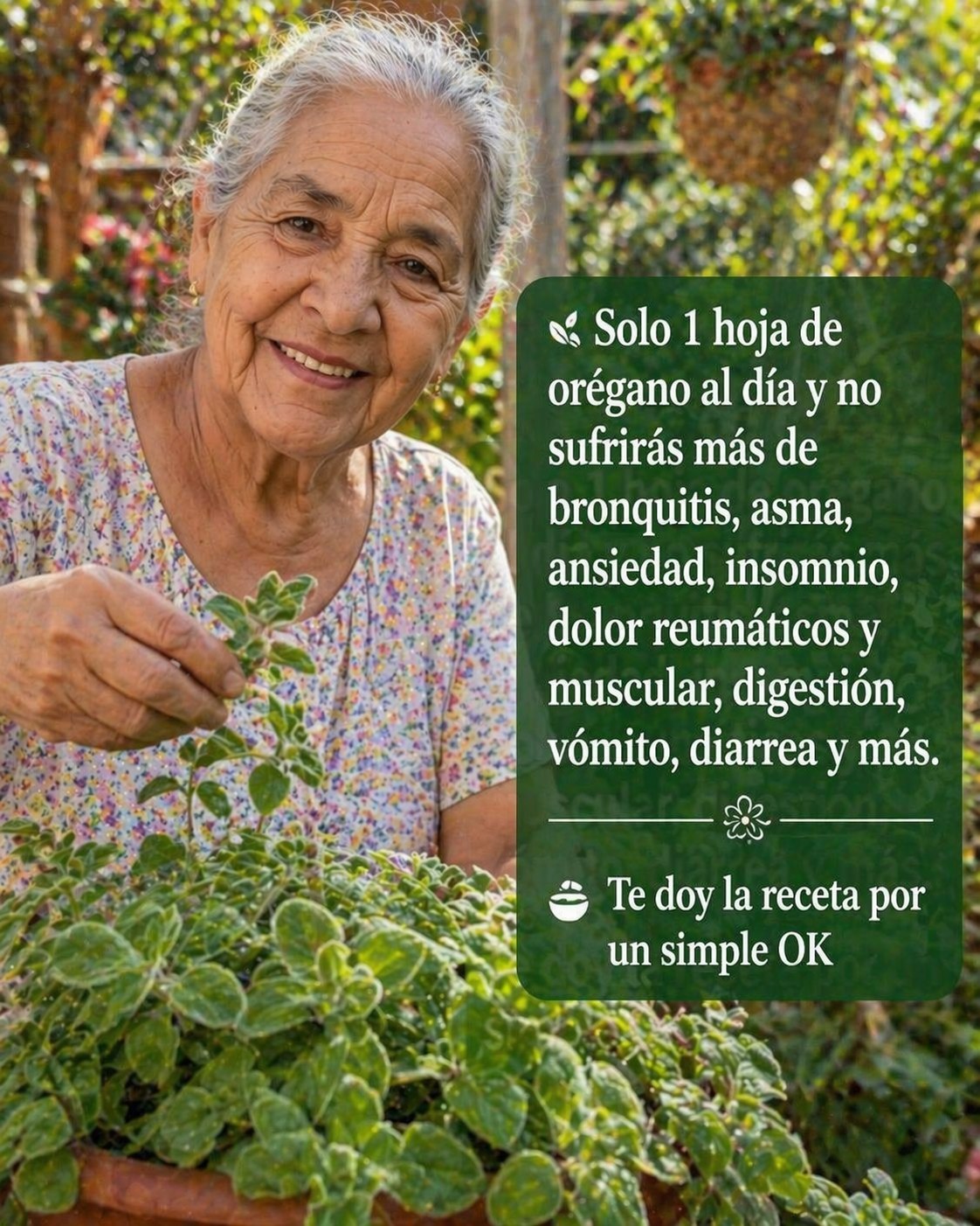 678340173 1421253016470501 2907815613067051300 n