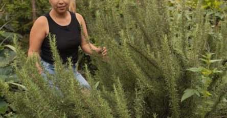 678541925 1600871921568087 817893426395083765 n