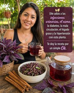 679042698 1421315659797570 3263386531114630895 n