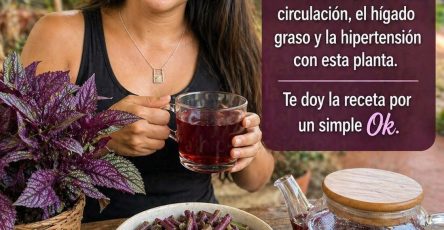 679042698 1421315659797570 3263386531114630895 n