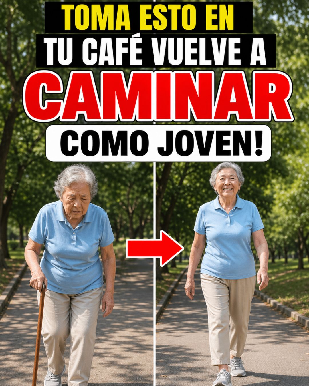 679058484 122165426000943773 6130887234253302916 n