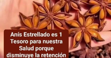 679309683 1482737389898534 7636089727387176169 n