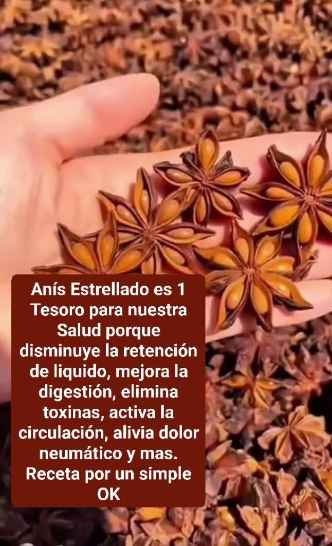 679309683 1482737389898534 7636089727387176169 n