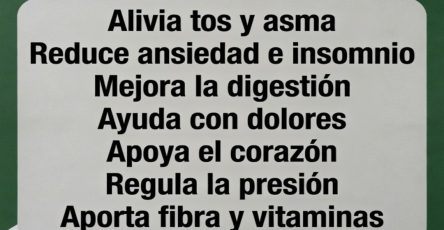 679334625 1418797116716091 6993393377949401117 n