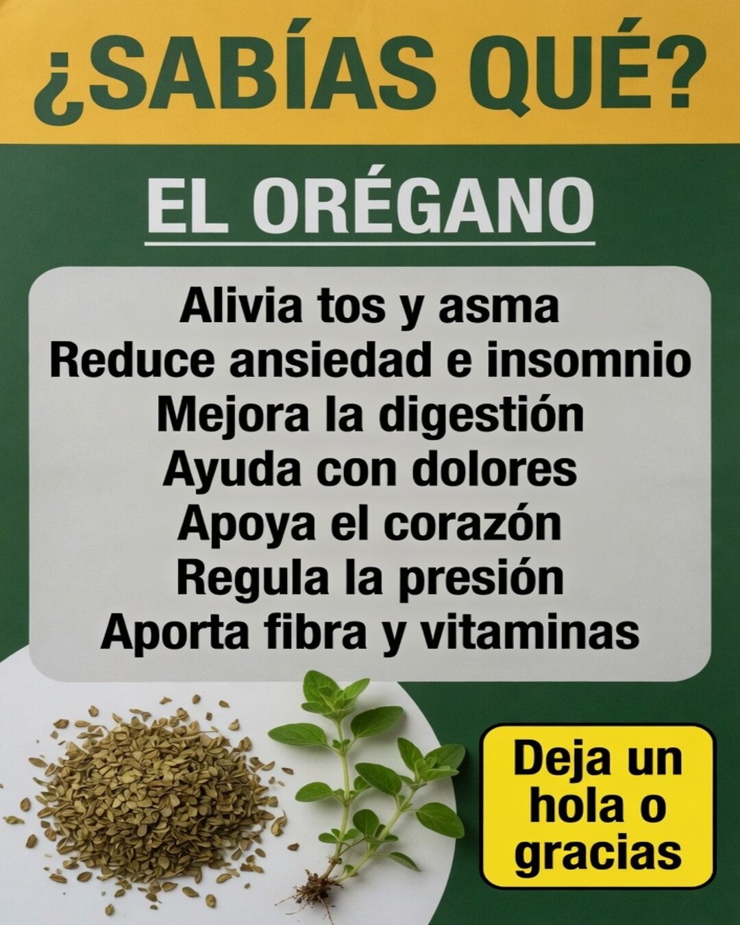 679334625 1418797116716091 6993393377949401117 n