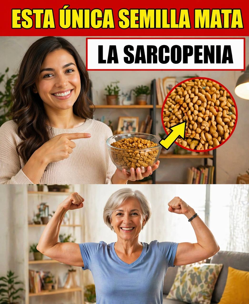 679360310 1420797066516096 4411588660550605572 n (1)