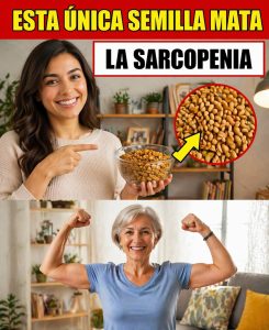 679360310 1420797066516096 4411588660550605572 n