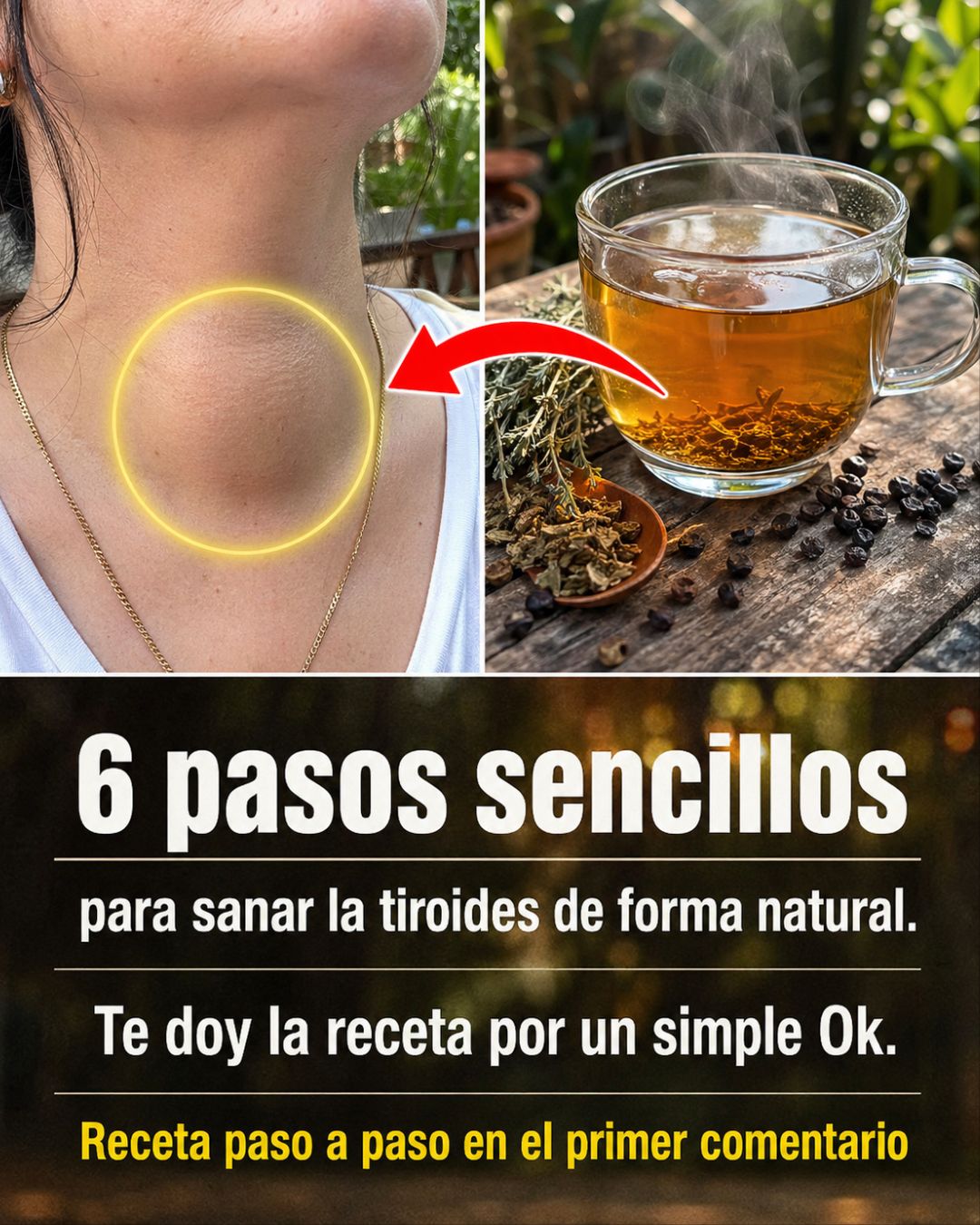 679412808 122165401658943773 6688111907688056448 n