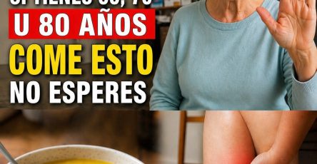 679453438 1421289683133501 8535856301577844795 n