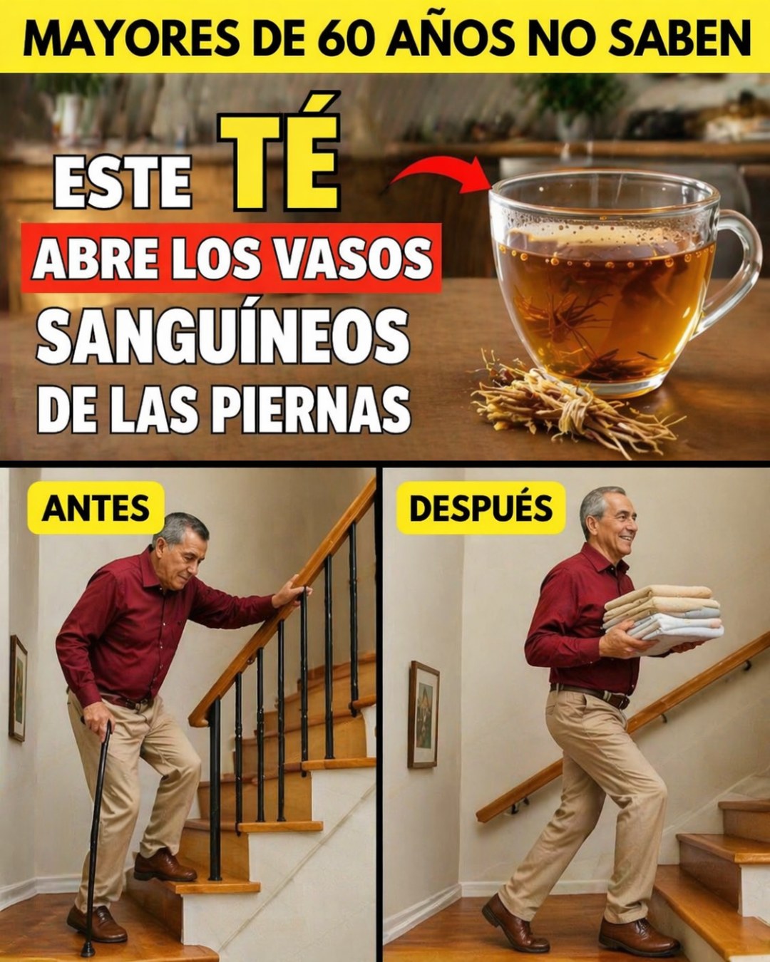 679472611 1420010316594771 3865662103561807243 n