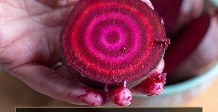 680066826 1603025924686020 7288616058977799683 n