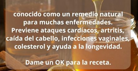 680243331 1602716958050250 7939320182141757296 n