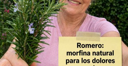 680346747 122165473610943773 7798652506457962323 n