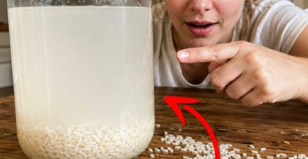 680377230 122165679428943773 3537998415357591134 n