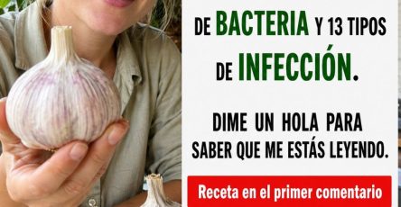 680433104 122165486810943773 6355338687224836254 n