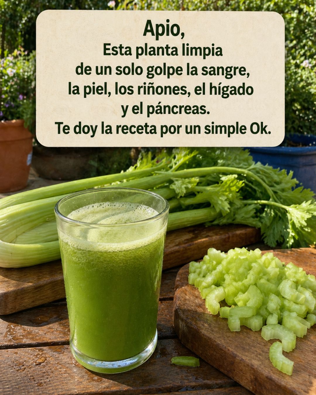 680445816 122165557142943773 7694129861455494520 n