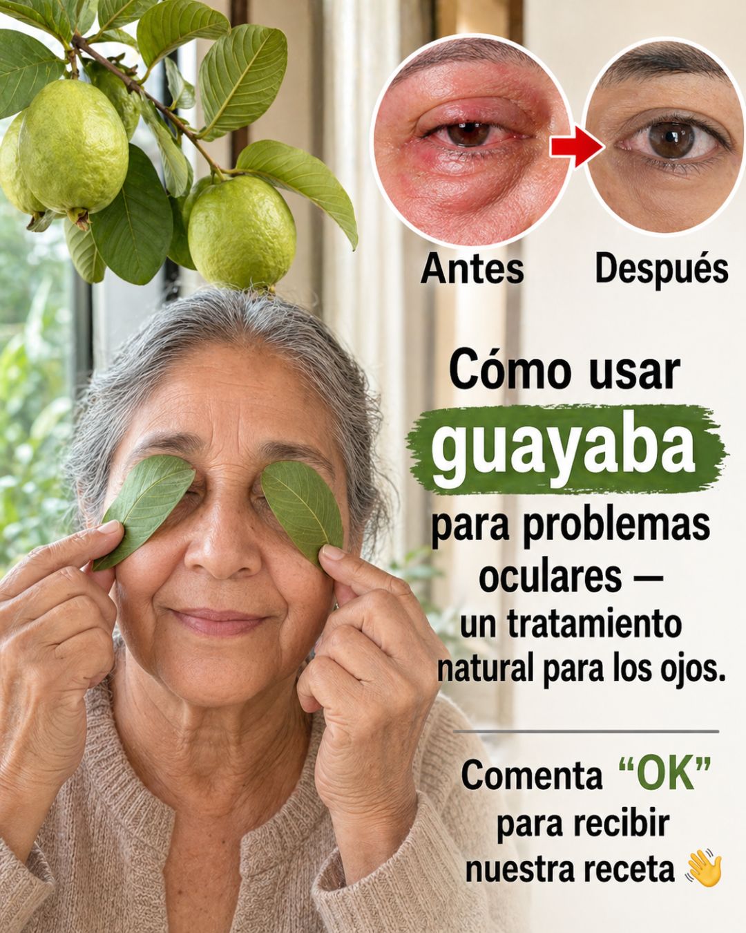 681378562 122165381828943773 4606294511056178478 n