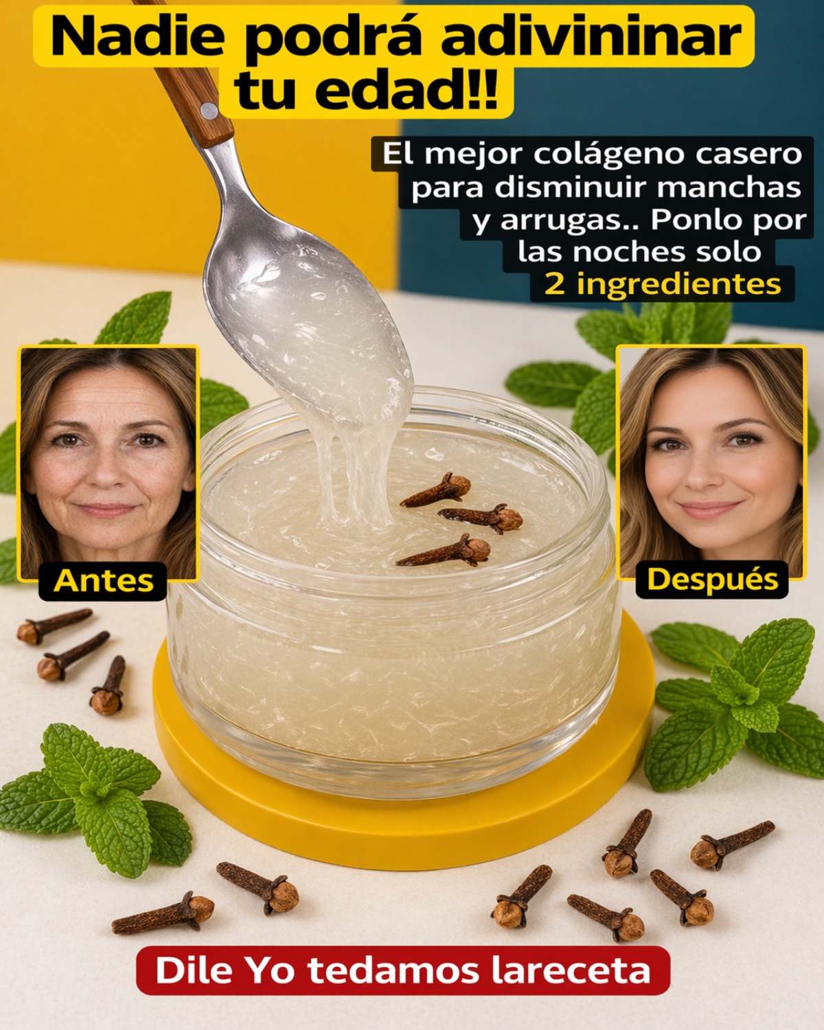 681490452 1421606099768526 2257417104798423942 n