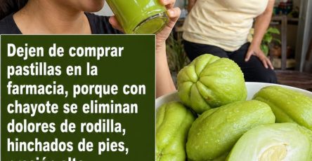 683116964 122165515514943773 3226896812710897118 n