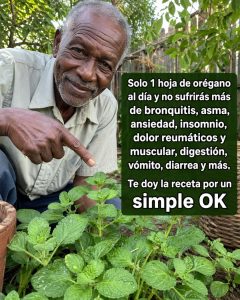 683414119 122165692274943773 1434767276871330117 n